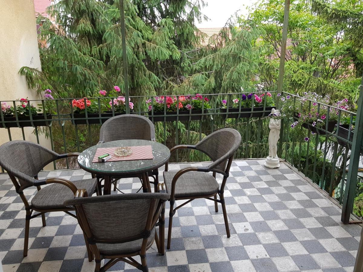 City Center Dream Apartment 蒂米什瓦拉 外观 照片