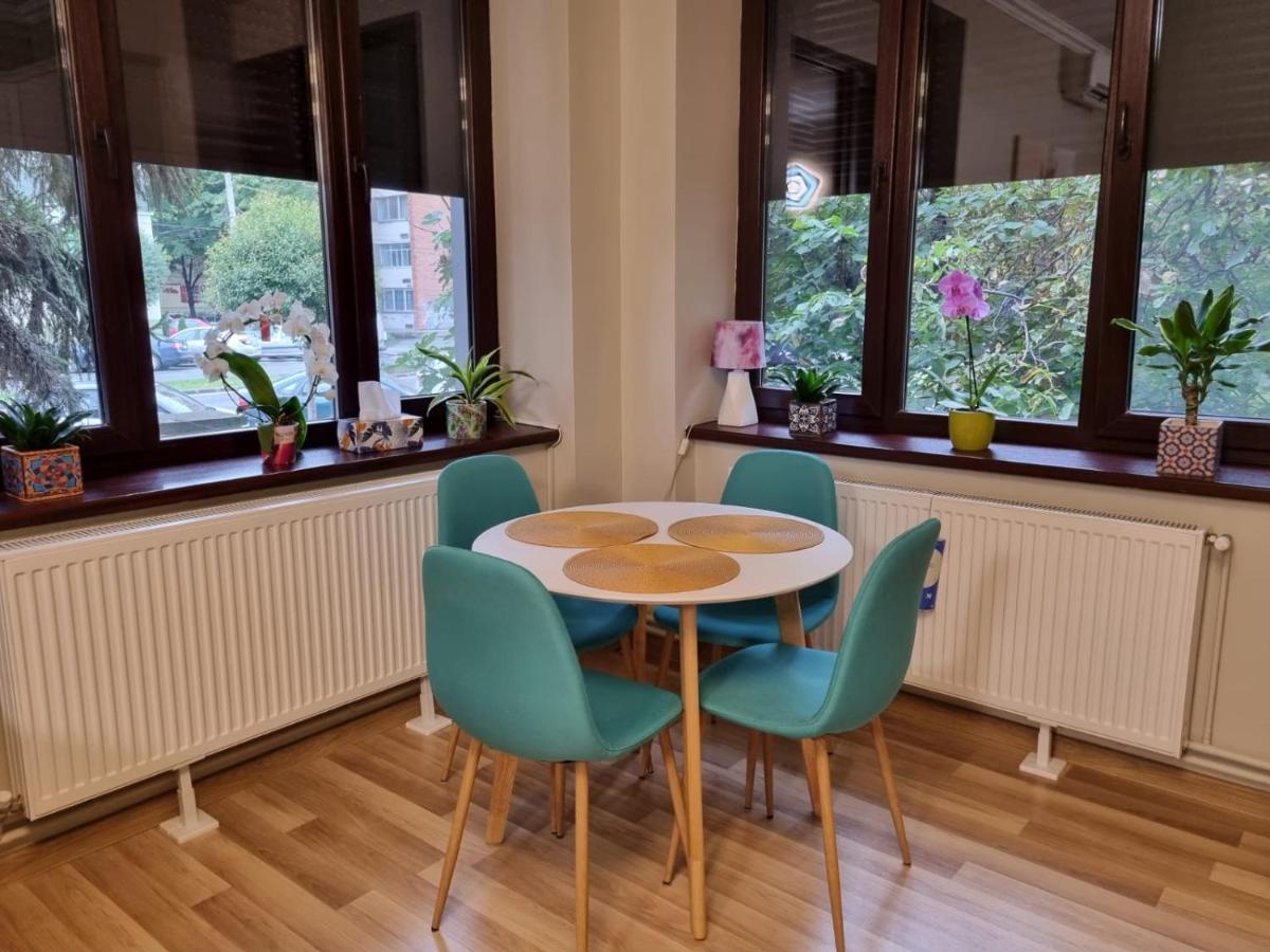 City Center Dream Apartment 蒂米什瓦拉 外观 照片