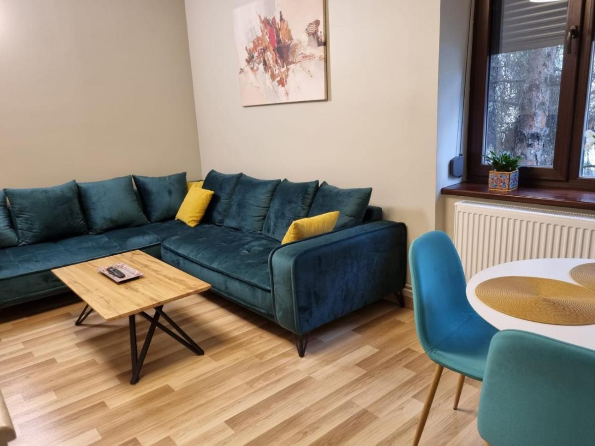 City Center Dream Apartment 蒂米什瓦拉 外观 照片