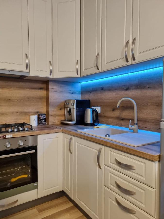 City Center Dream Apartment 蒂米什瓦拉 外观 照片