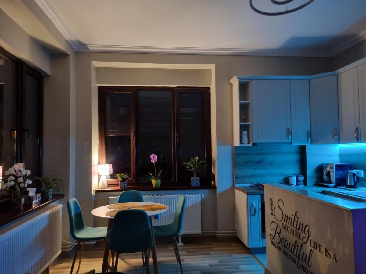 City Center Dream Apartment 蒂米什瓦拉 外观 照片